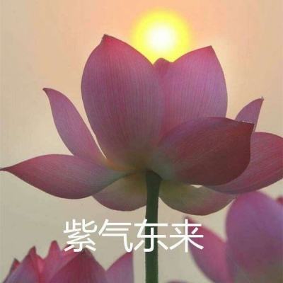 荣耀英雄下载游戏